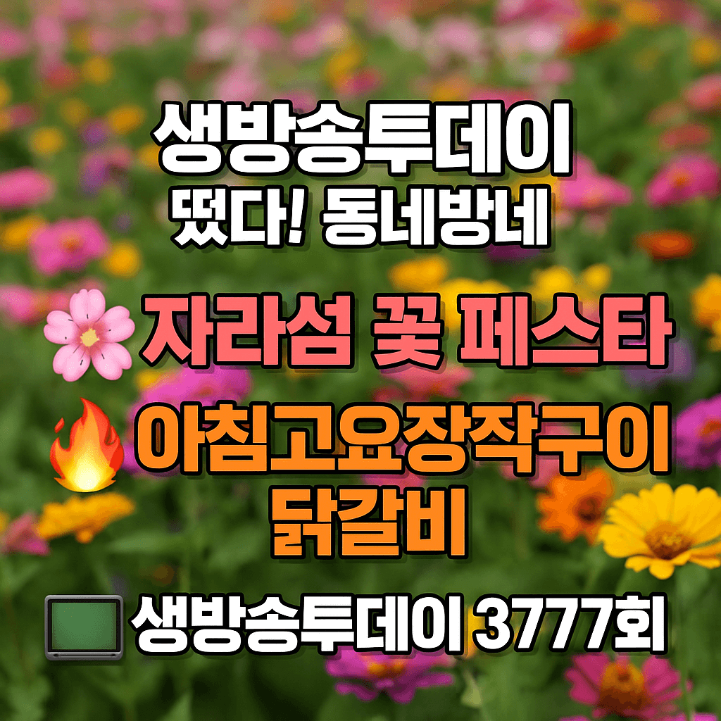 생방송투데이 떴다! 동네방네 가평 닭갈비 맛집 아침고요장작구이, 자라섬 꽃 페스타 & 가평 여행 코스 정리 생방송투데이 3777회