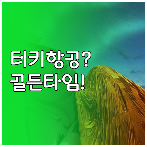 터키항공 좌석 변경 방법과 비용, 놓..