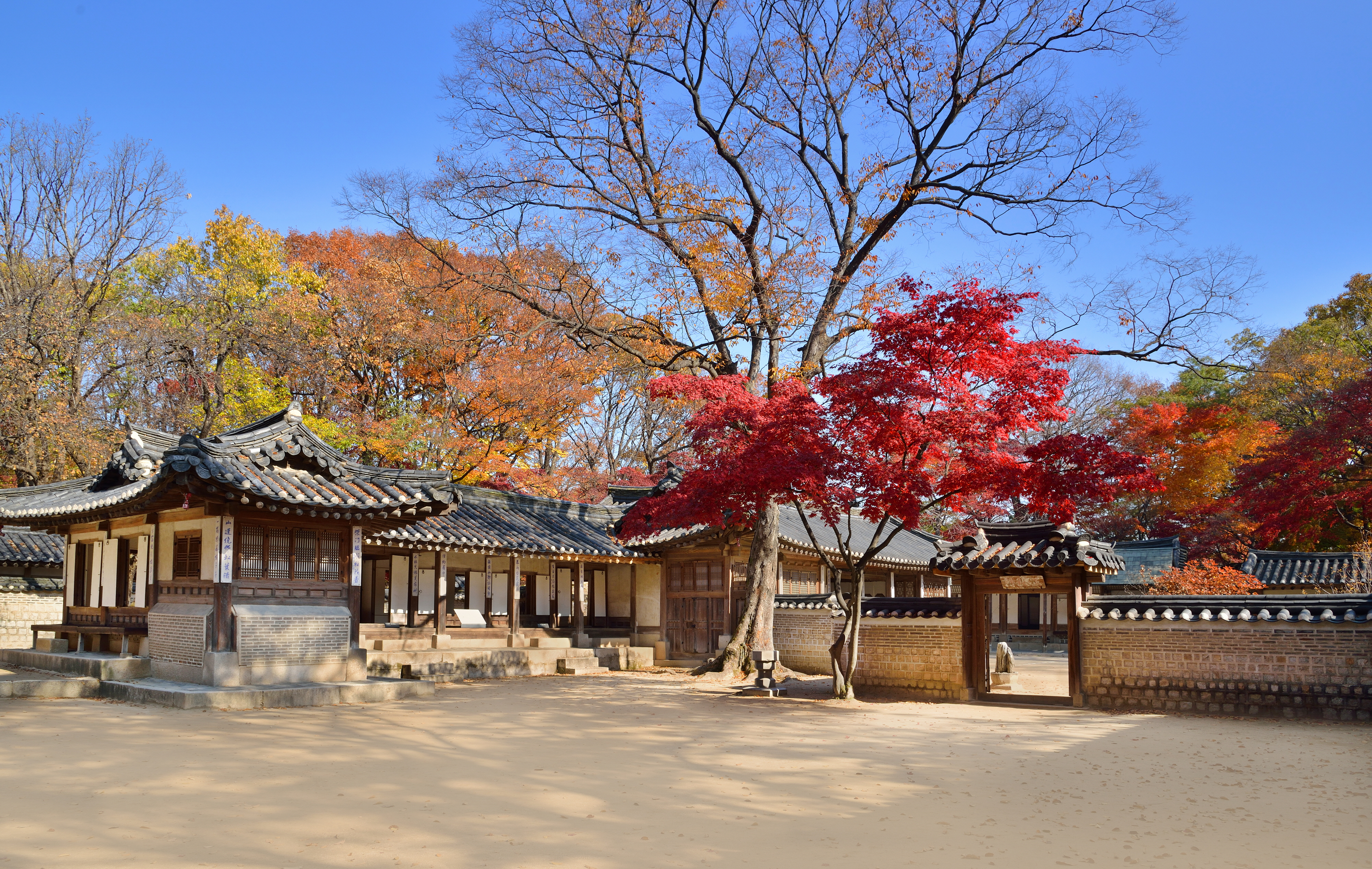 창덕궁 후원 예약