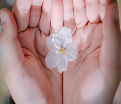 놀러갈만한곳-벛꽃