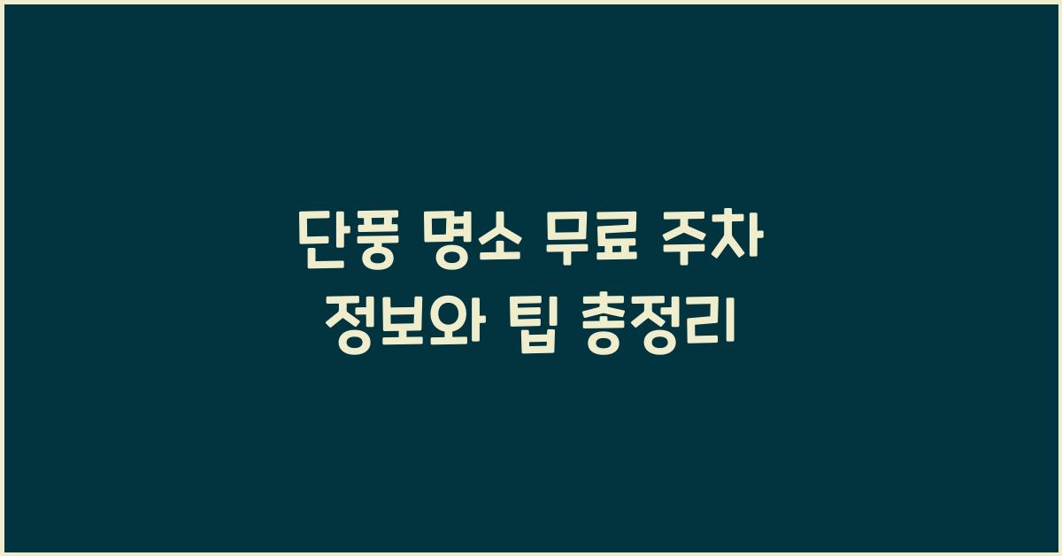 단풍 명소 무료 주차 정보