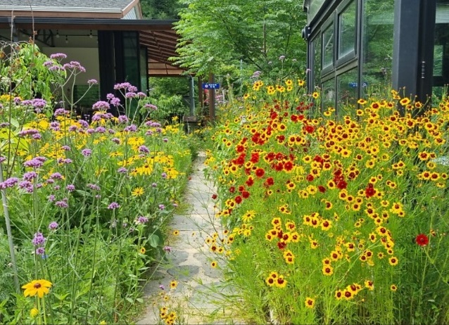 한국인의밥상-화순-허브뜨락