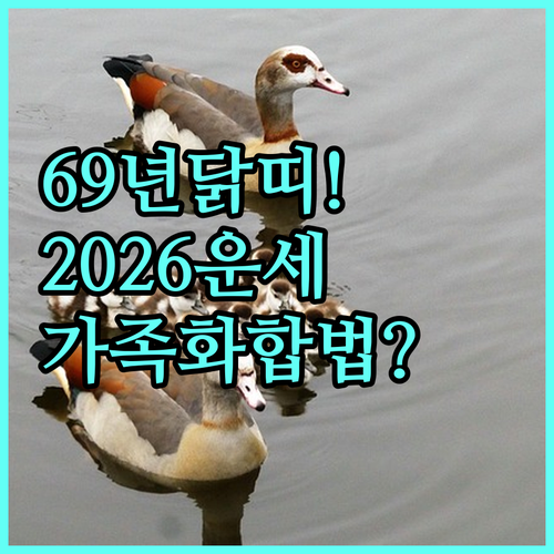 1969년생 닭띠 2026년 운세 흐..