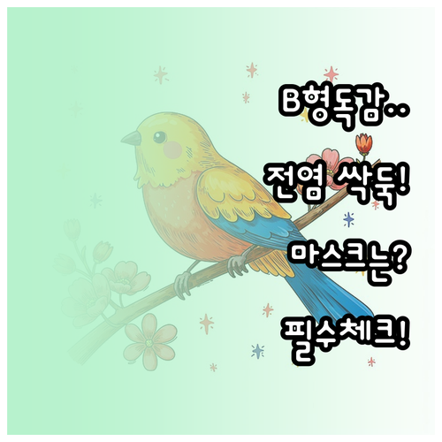 B형 독감 전염 막는 법과 상황별 마..