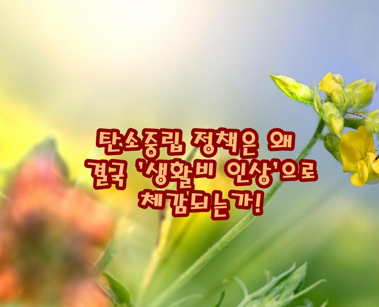 탄소중립 정책은 왜 결국 ‘생활비 인상’으로 체감되는가!