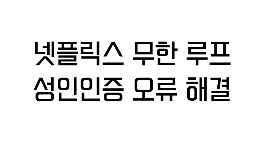 넷플릭스무한루프성인인증오류