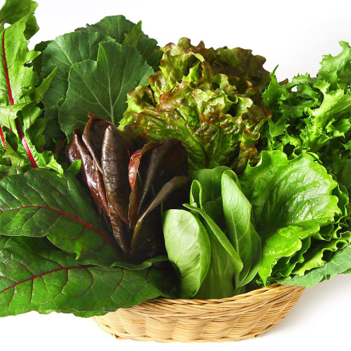 면역력을 쉽게 높이는 방법