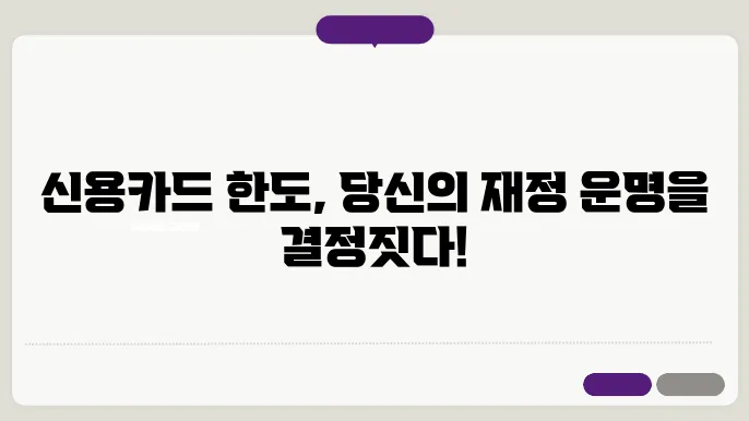 신용 카드 신청 한도