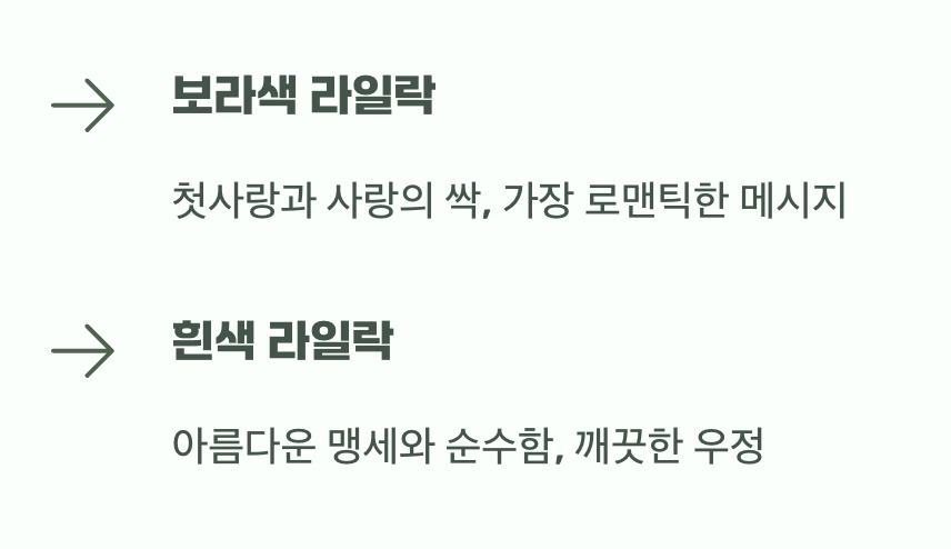 색깔마다 다른&amp;#44; 섬세한 속삭임