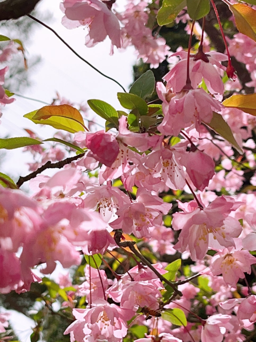 특색있고 아름다운 민간 정원 30선 추천 여행 - 07. 청주 공간정원