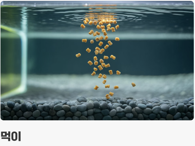 먹이와 합사&amp;#44; 평화를 사랑하는 친구들