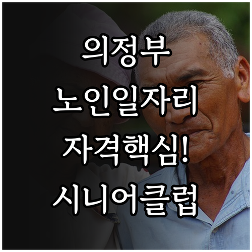 의정부 노인일자리 유형별 자격 조건과..