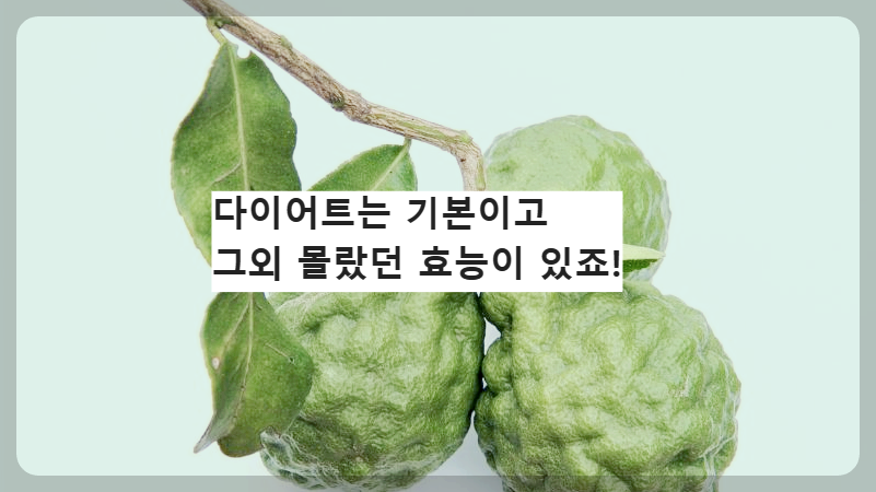 나뭇가지에 달린 베르가못