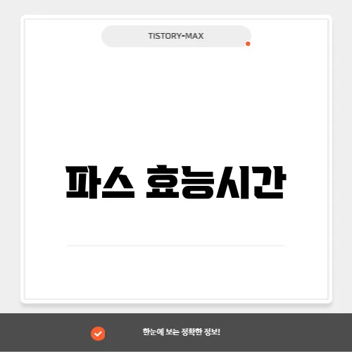 파스 효능시간