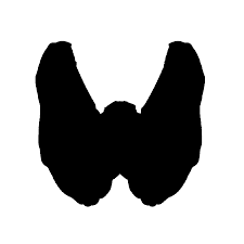 갑상선 기능 저하증