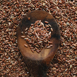 당뇨에 좋은 잡곡 종류 - 현미