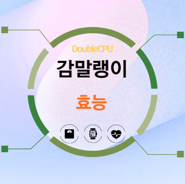 감말랭이 효능 탐구