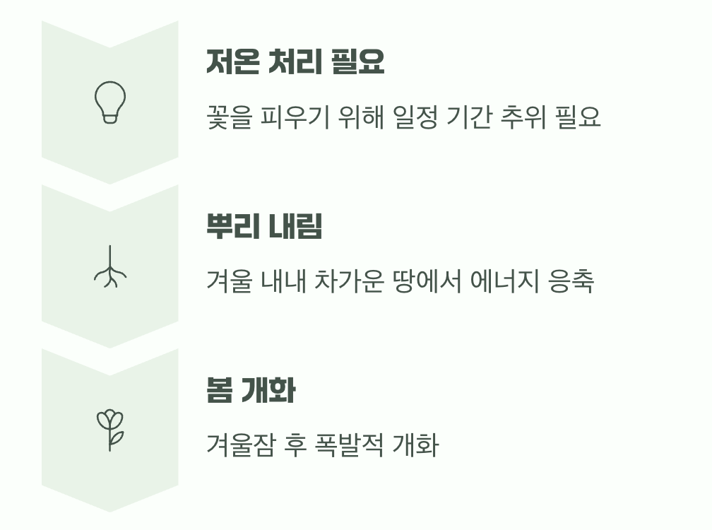 가을에 심는 약속, 겨울잠의 비밀