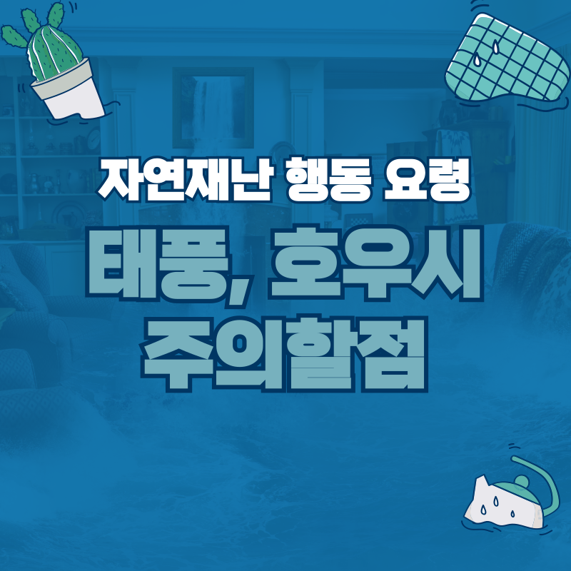 태풍, 호우시 주의할점