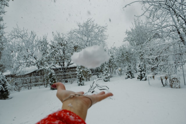 대설특보 차량 관리 이것만 알면 끝