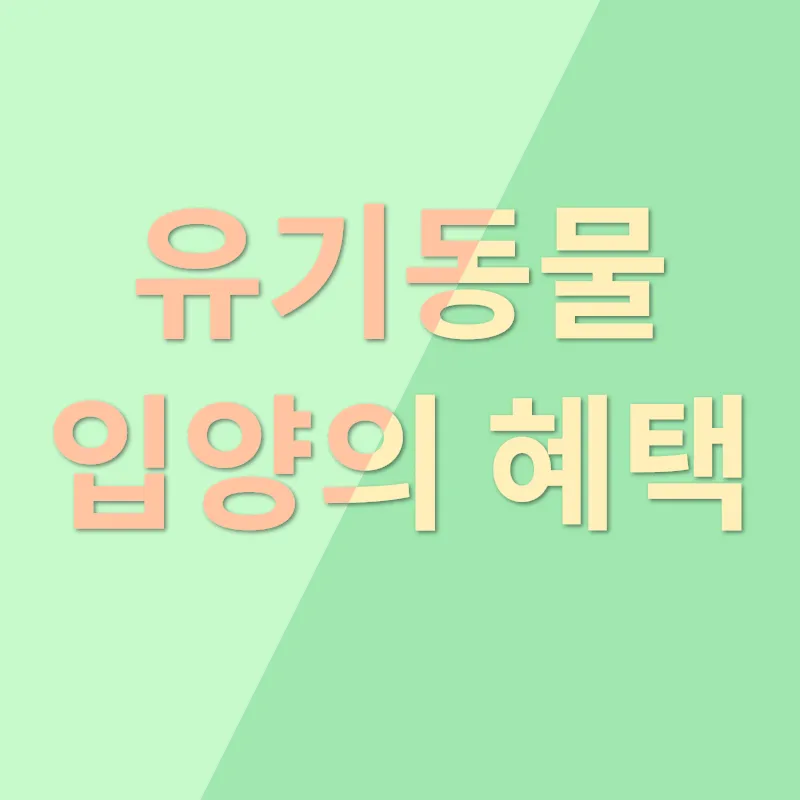 유기동물 보호_2