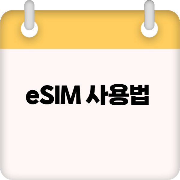 eSIM 사용법