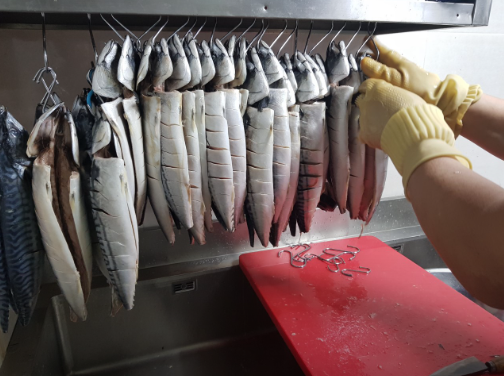 생방송 투데이 경기 고양 모둠생선찜 밥도둑