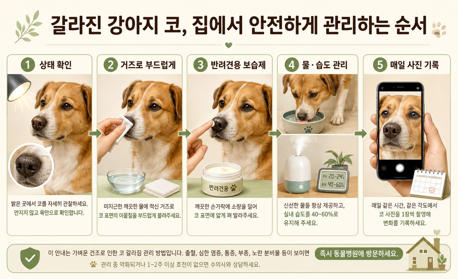 갈라진 강아지 코를 집에서 안전하게 관리하는 순서와 보습 방법을 설명하는 이미지