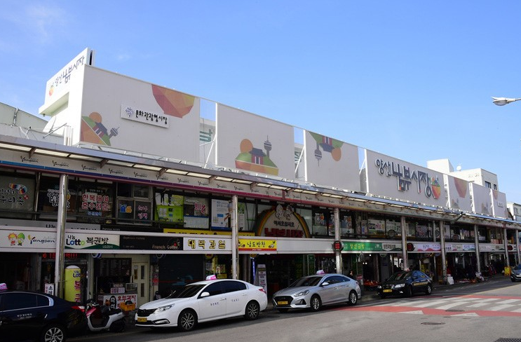 [6시 내고향] 양산 남부시장&amp;#44; 반건조참민어 참돔 참가자미&amp;#44; 피낭시에&amp;#44; 돼지국밥밀키트&amp;#44; 캠핑용조개&amp;#44; 카레순대 김치순대&amp;#44; 비트생강청 정보