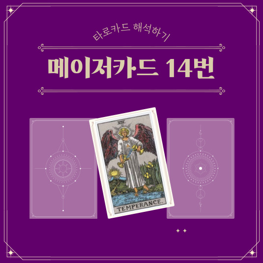 메이저 절제 카드