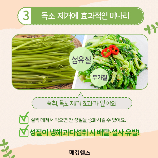 독소제거에 효과적인 미나리 출처 매경헬스