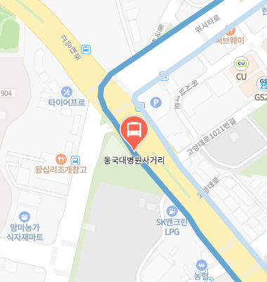 동국대병원사거리에서 인천공항 리무진 공항버스(7400번) 지도 위치