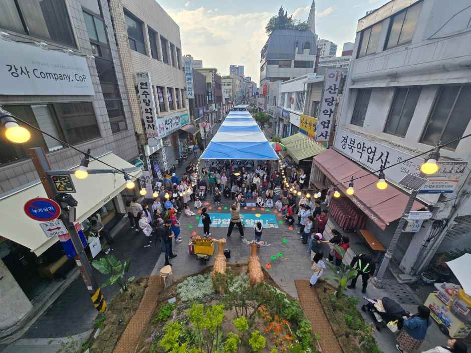 대구약령시한방문화축제