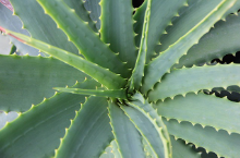 여름철 피부 보호를 위한 최고의 가이드