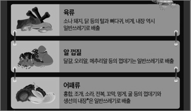 알 껍질 일반쓰레기