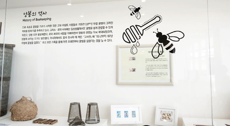 꿀벌나라 테마공원