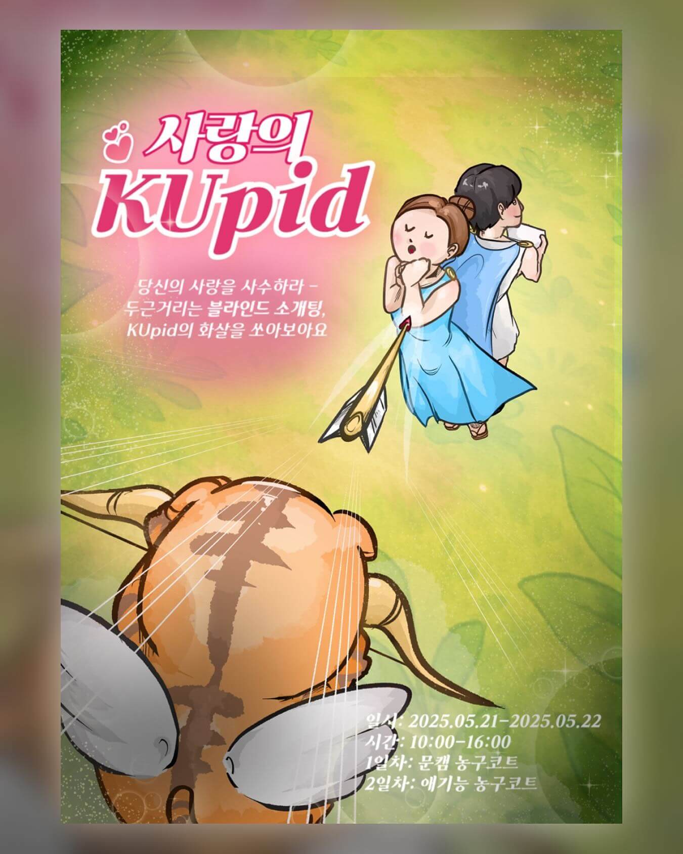 고려대학교 대학교 축제 일정 라인업