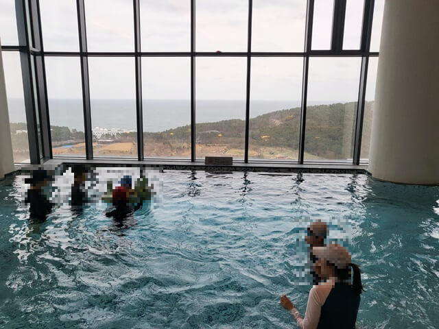 마티에 오시리아 수영장