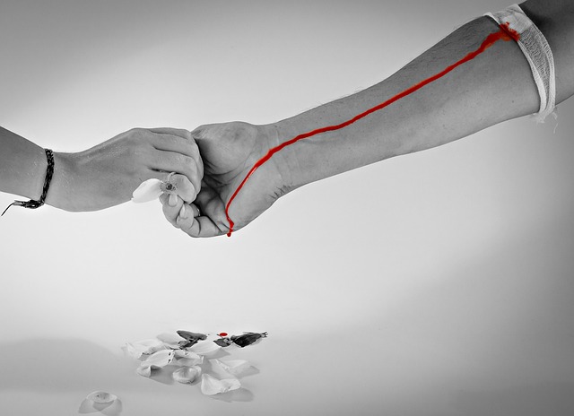 헌혈불가사유 총정리! 미리 확인해보세요