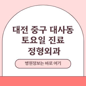대전 중구 대사동 토요일 정형외과 진료 병원