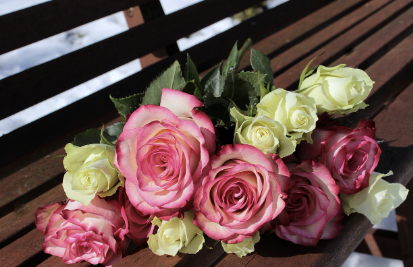 성년의 날 관련 이미지