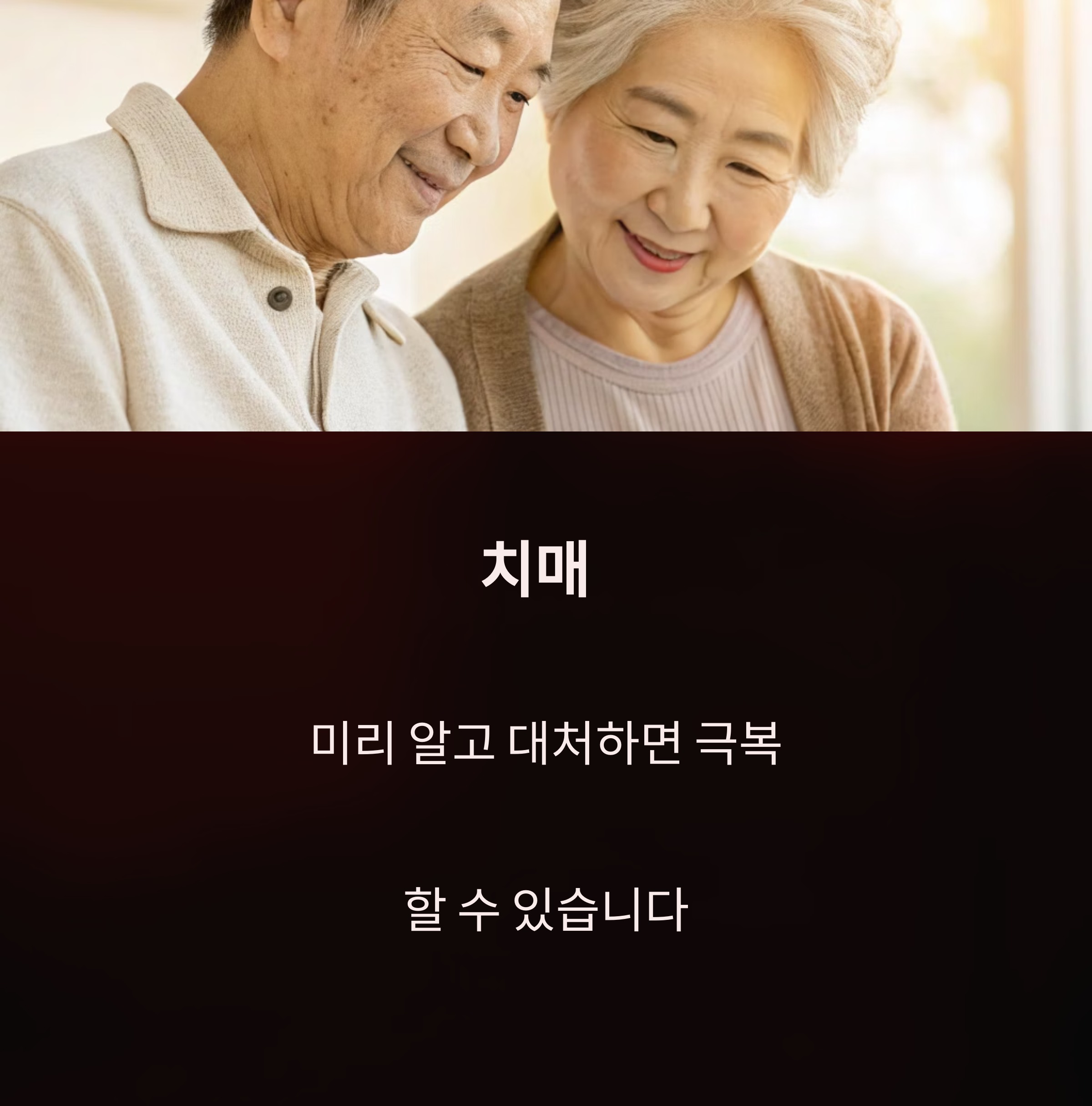 치매 돌봄 지원제도