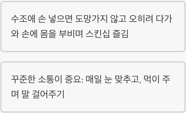 만져주세요! 교감을 즐기는 특별함