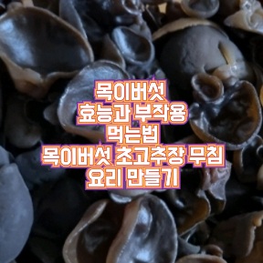목이버섯의-효능-부작용