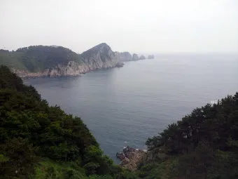 통영 연화도 수국 꽃길 산책 코스와 최적 관람 시기_20