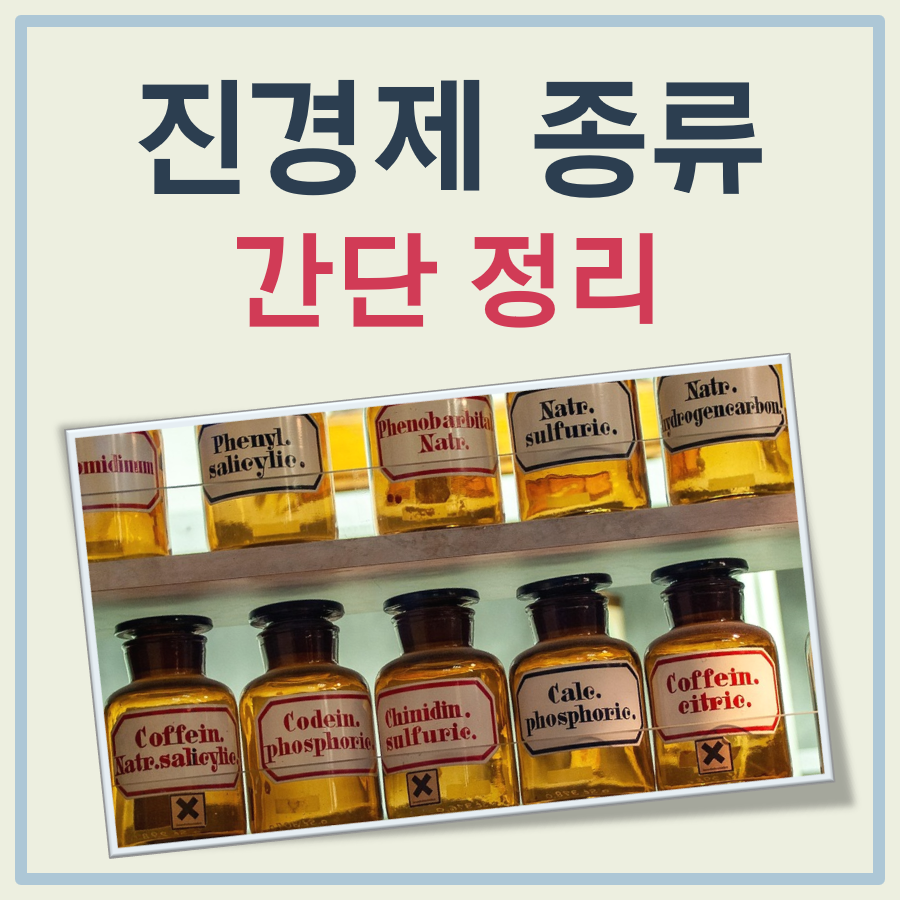 진경제 종류 대표 이미지