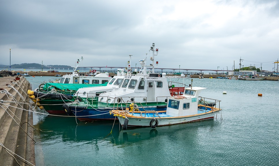 경남 사천 가볼만한곳 (사천 대포항)