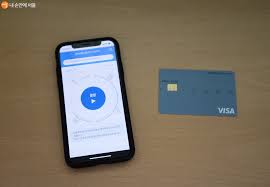 전 국민 연 79만원 지원 교통지원 카드