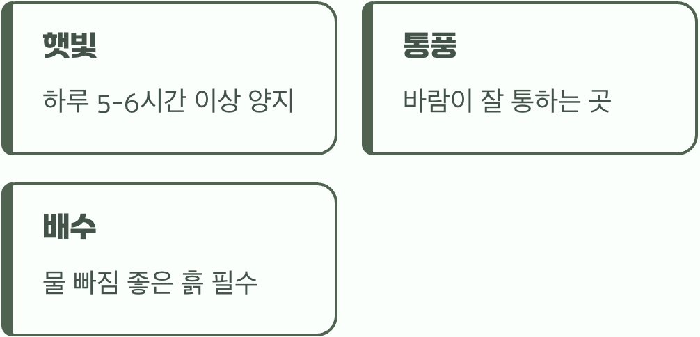 2. 우리 집 세이지를 위한 최고의 명당