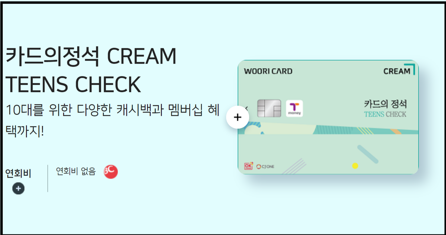 카드의정석 CREAM TEENS CHECK